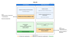 analyse bilan fonctionnel